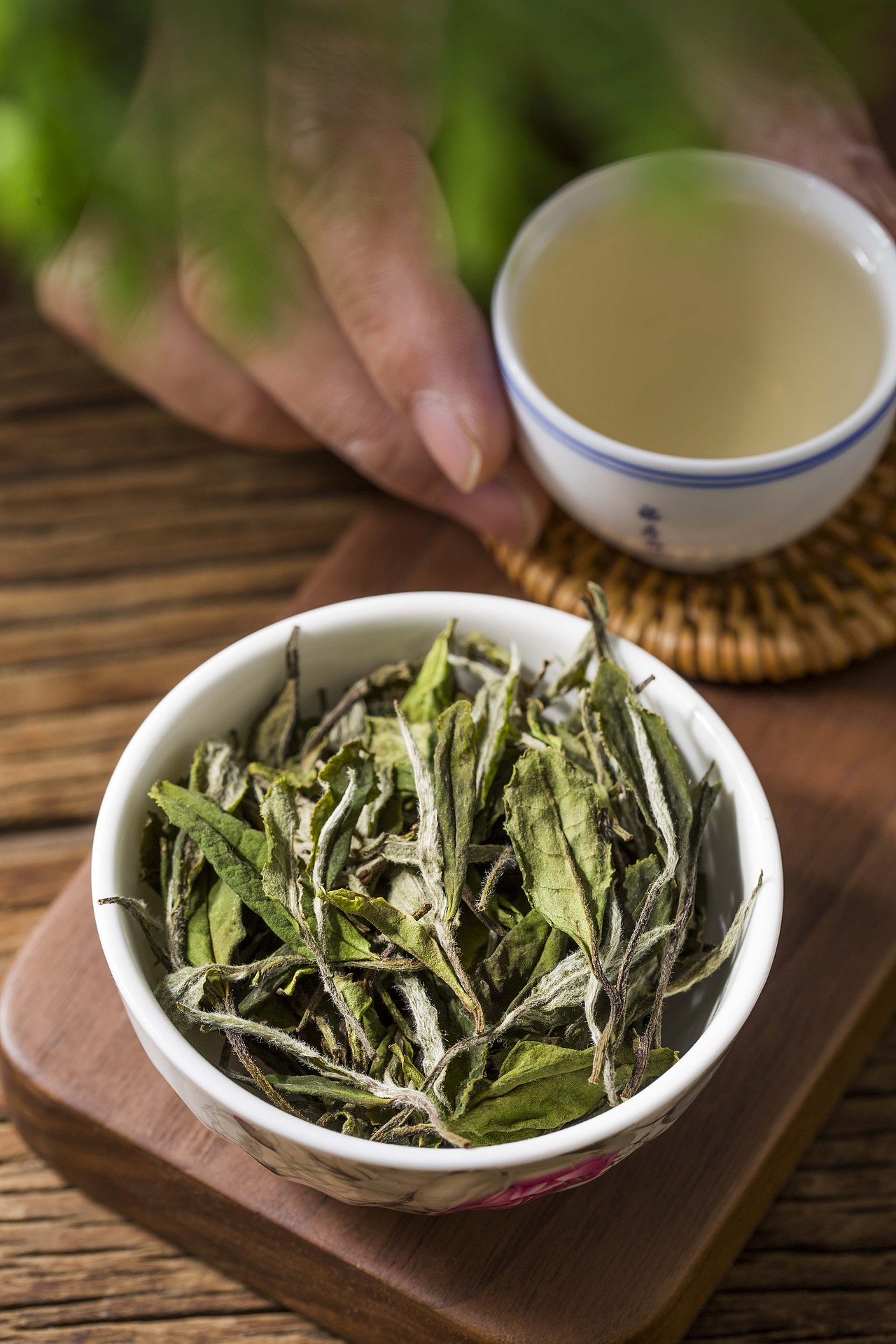 福鼎白茶谷雨贡眉