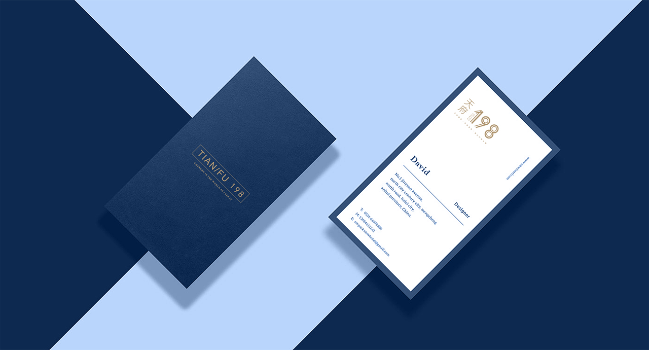 天府198地产提案