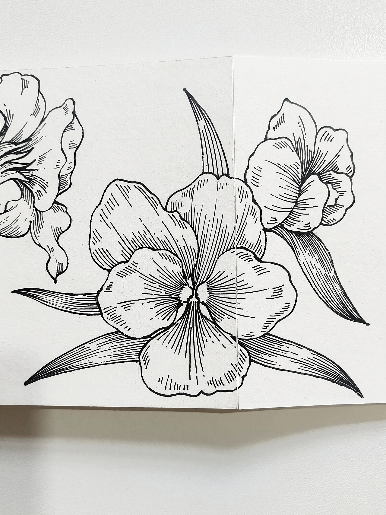 线描花卉，花园里面有什么？（图ZMzczNTM5Njgw） - 绘画 - 站酷设计师会画画的云原创素材 - 站酷ZCOOL