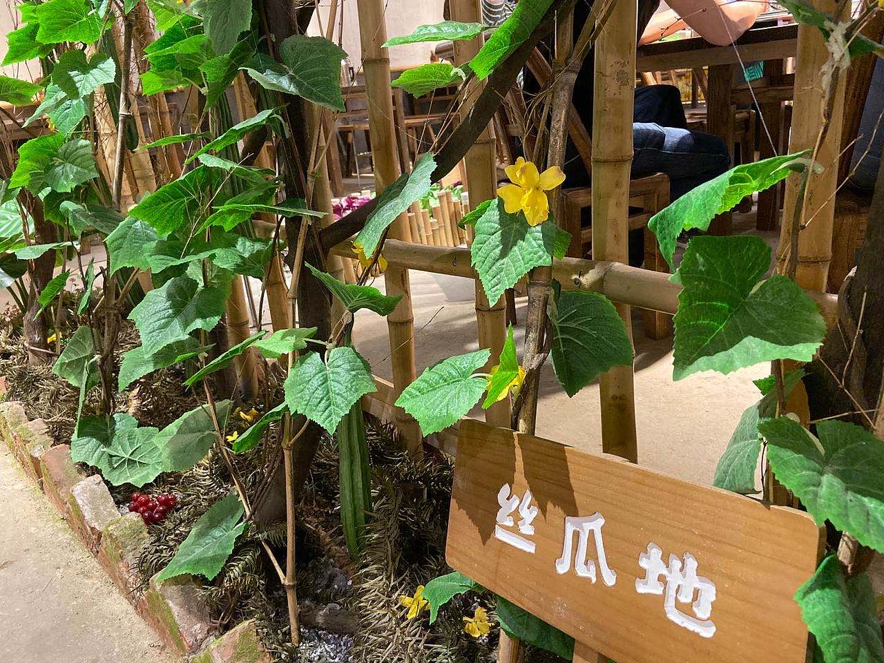菜园子餐饮品牌全案