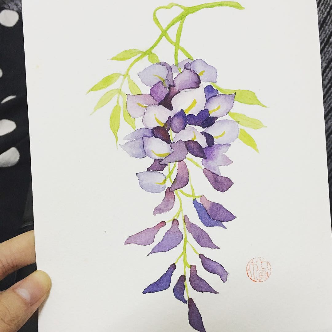 水彩日常习作