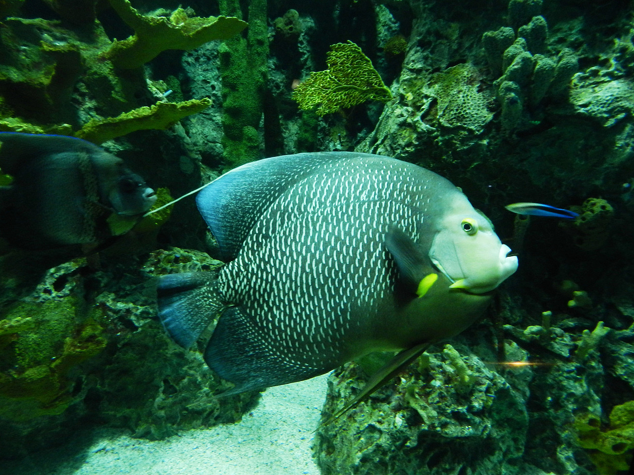 悠哉悠哉的~真羡慕~