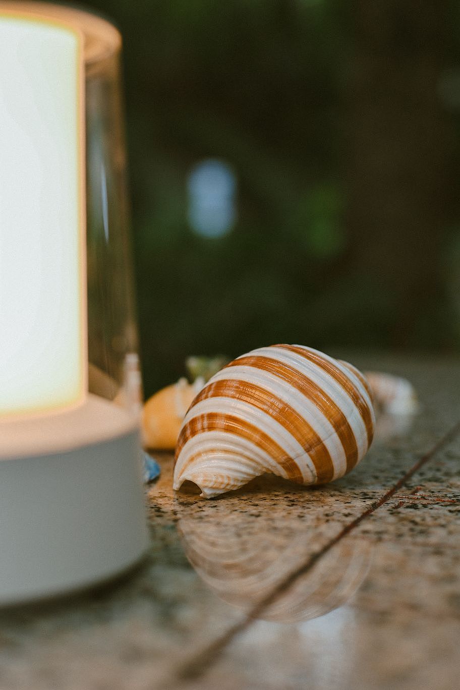 小模特/探险家/吃货/摄影师 上线!