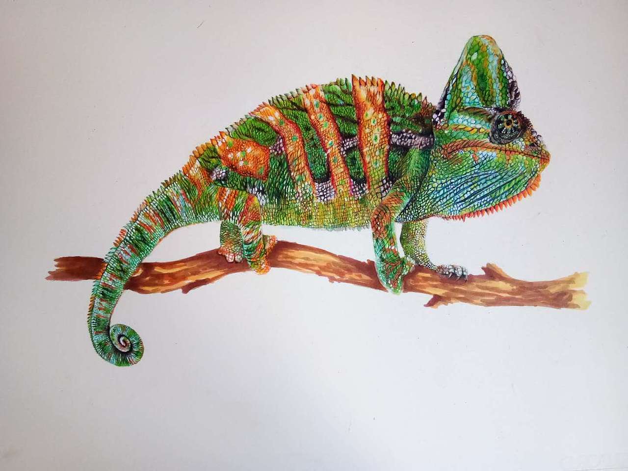 变色龙|纯艺术|绘画|宝珍bz_原创作品-站酷zcool