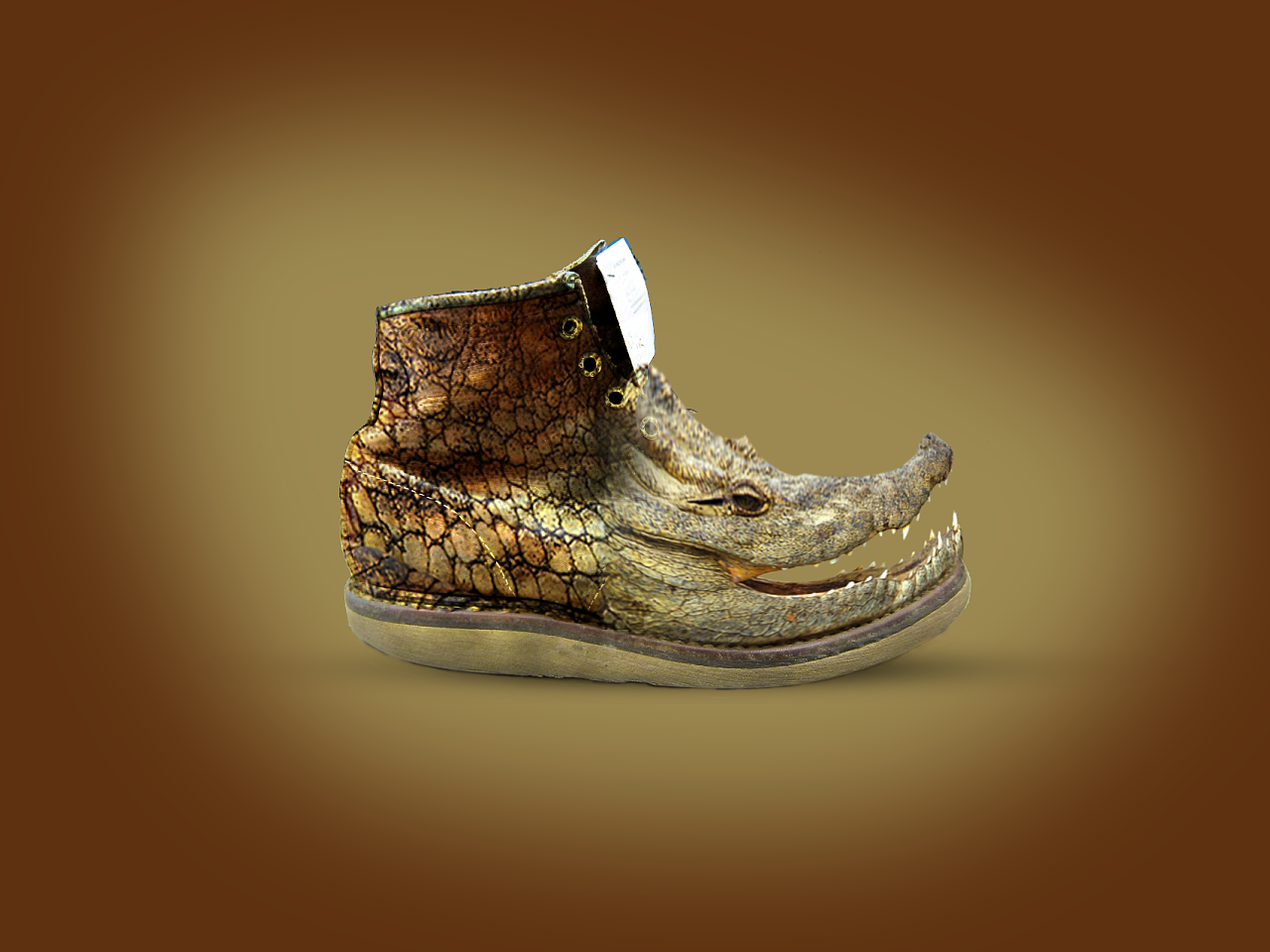 简单合成图|平面|图案|z80197842 - 原创作品 - 站酷 (zcool)