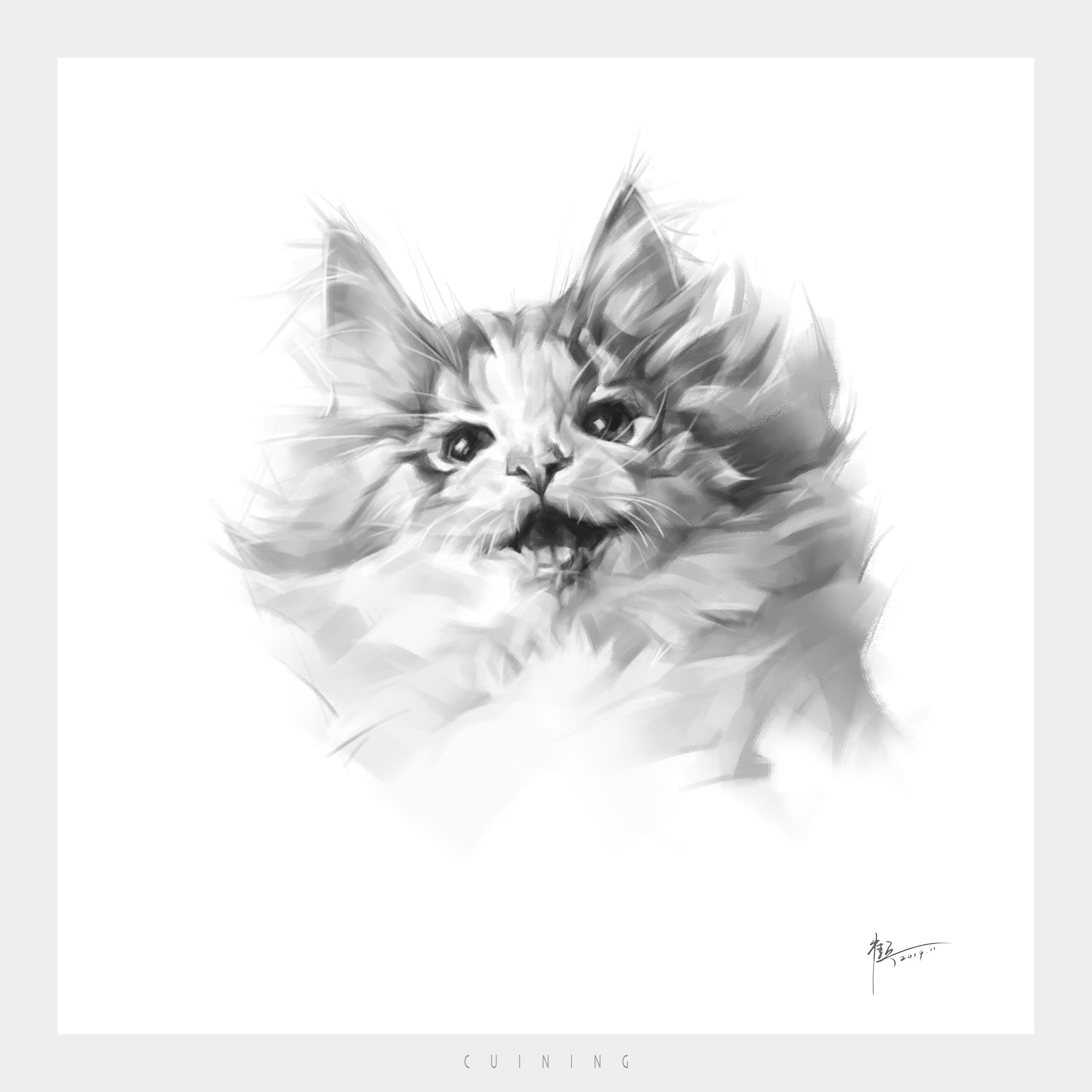 猫|纯艺术|素描|子鱼绘 - 原创作品 - 站酷 (ZCOOL)