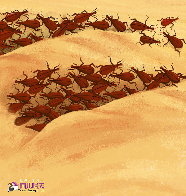 《飞龙记》《鸽子树传说》《琵琶甲虫》插画(图ZMTM4NjMwOA==) - 绘本 - 站酷设计师画儿晴天原创素材 - 站酷ZCOOL