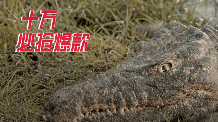 2015天吗双十一魔性广告（图ZMzg5NTA3NDQ=） - 短片 - 站酷设计师亚瑟原创素材 - 站酷ZCOOL