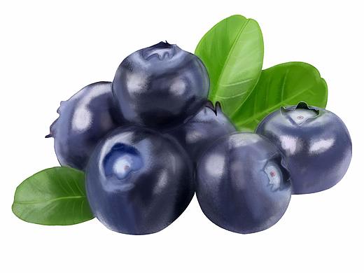 蓝莓（个人主页-ZNjI4NTE3OTI=） - 创作习作 - 站酷设计师空气炸锅原创素材 - 站酷ZCOOL