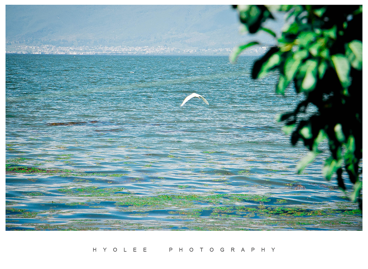 送你一个大理！（图ZMjk1MTcxMTI=） - 风光摄影 - 站酷设计师巩孝利Hyolee原创素材 - 站酷ZCOOL