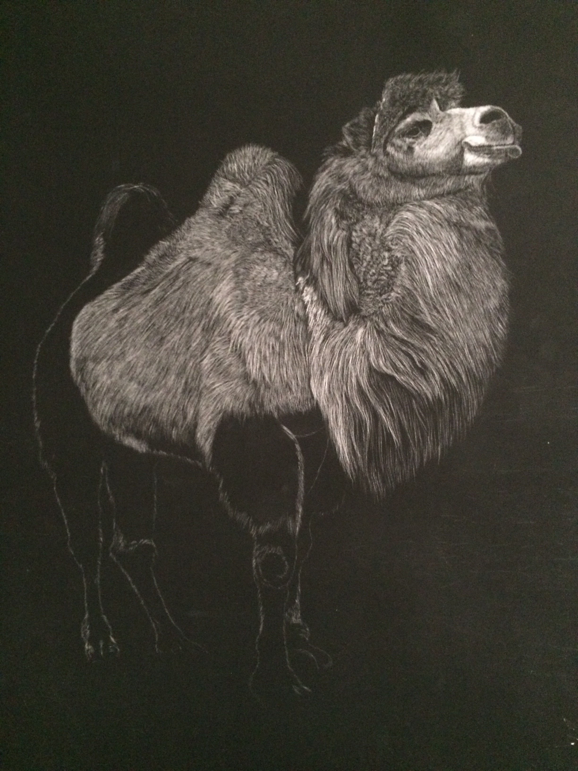 李子哥刮画作品《圣地雄姿》