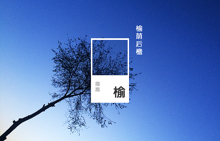 回忆·朝阳·风雪·花杨，品味休逸无穷（图ZODk4OTc5OTI=） - 其他摄影 - 站酷设计师afu1988原创素材 - 站酷ZCOOL