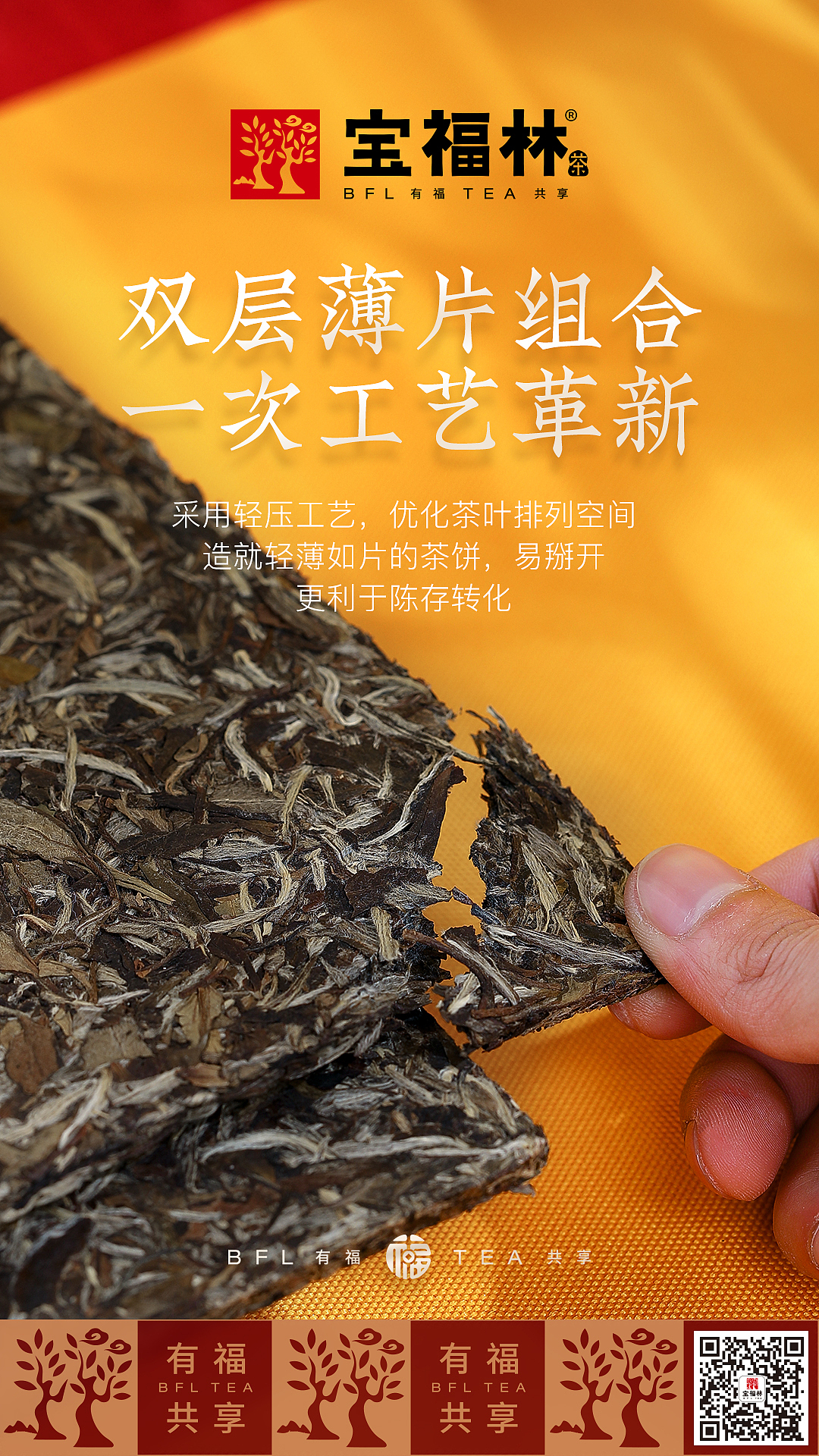 福鼎白茶 白牡丹