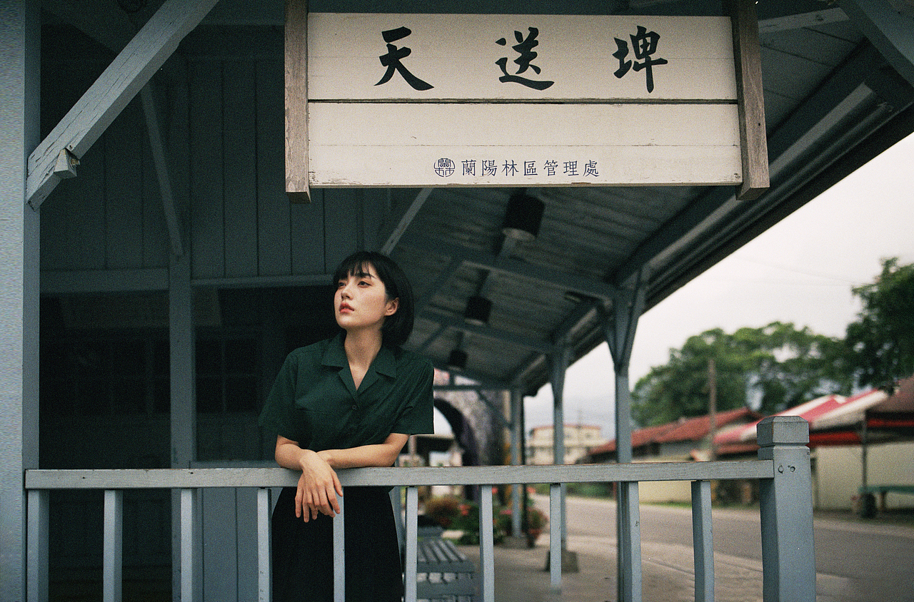 风筝有风 海豚有海