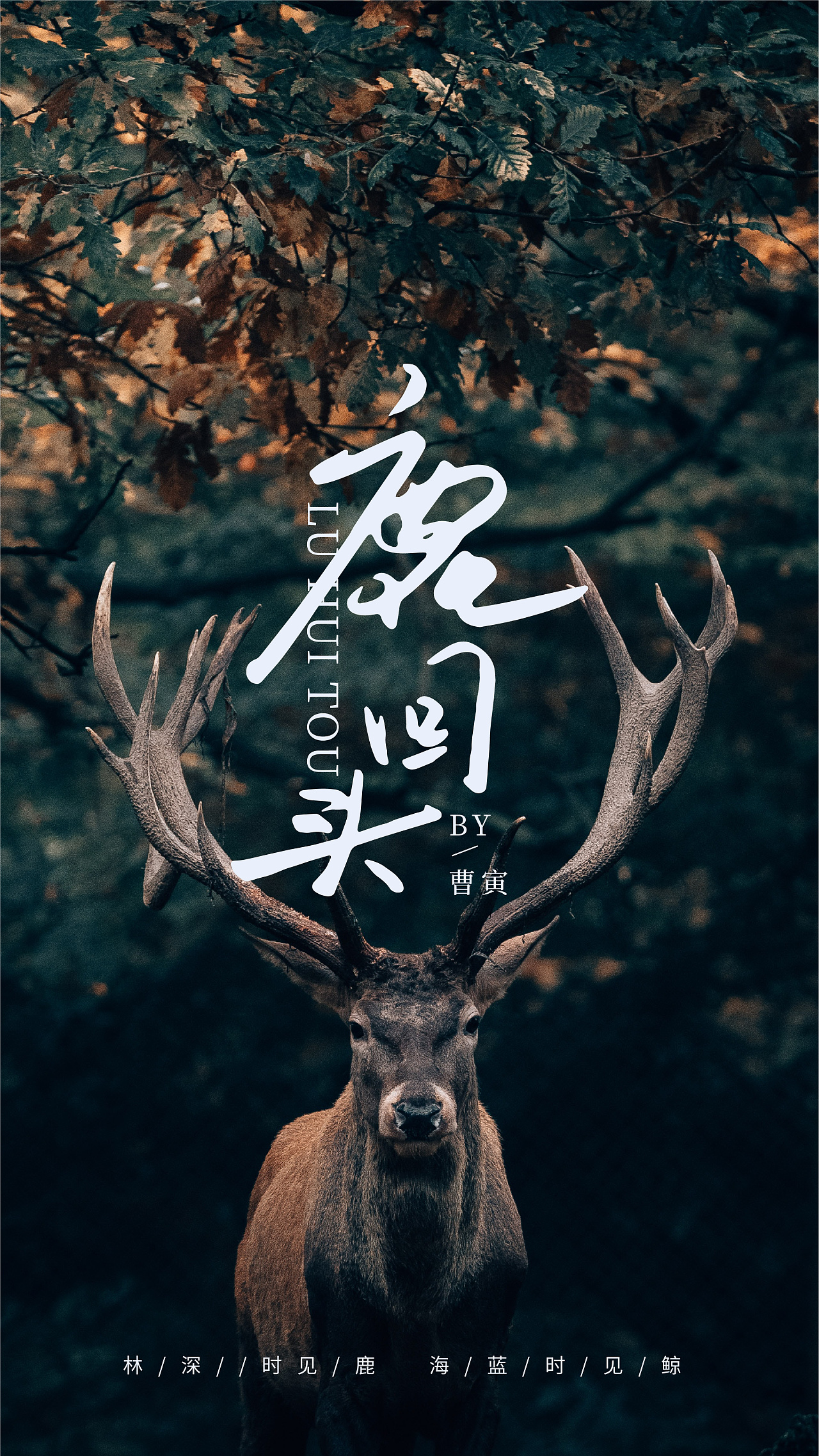 鹿的花藤字体图片