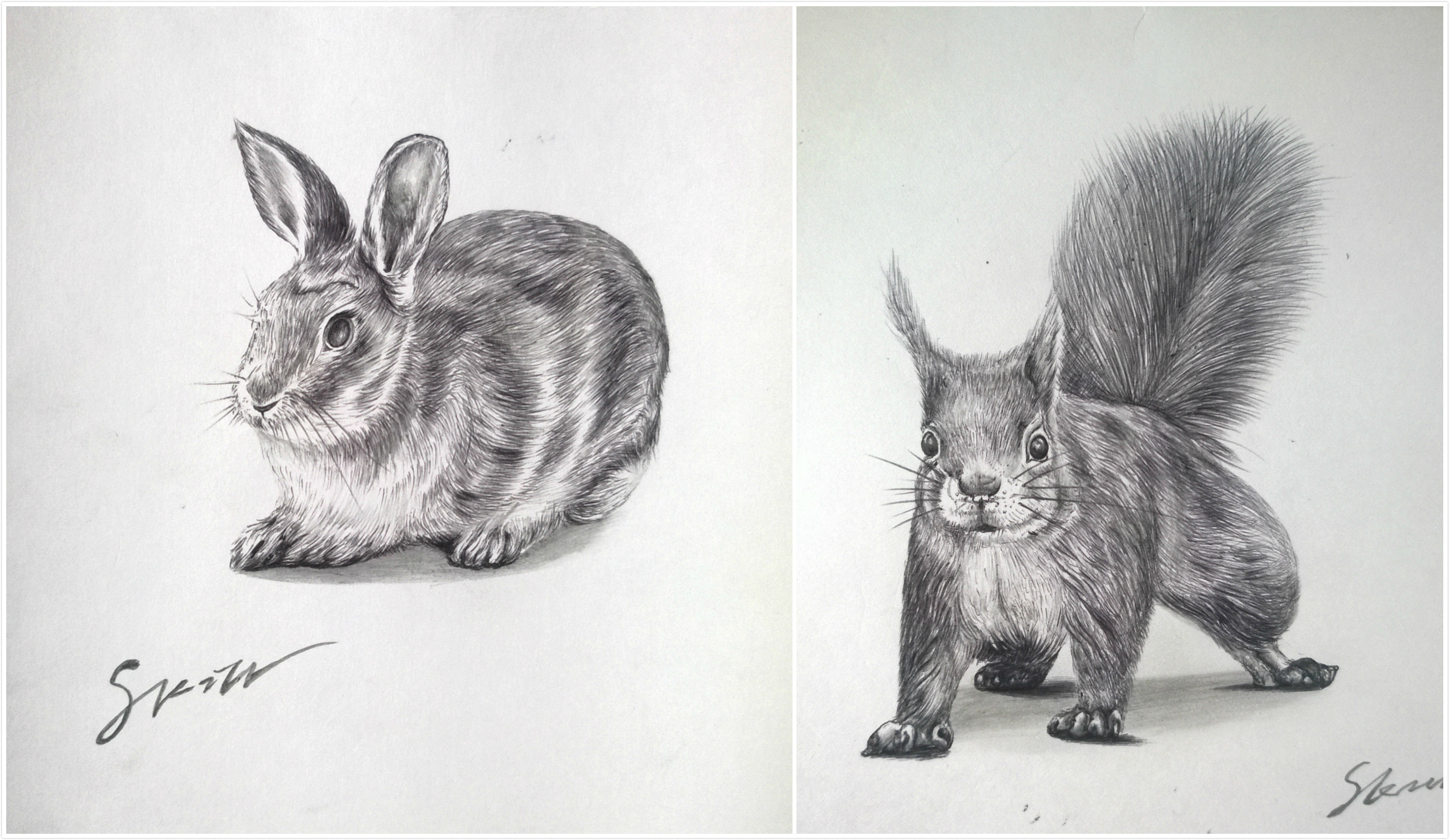 铅笔画动物素描 古装图片