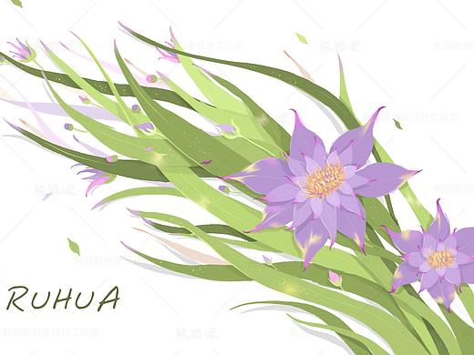 #手绘练习# 花卉植物插画