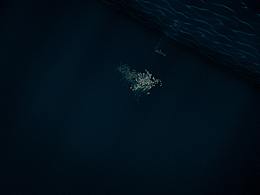 自我沉浮