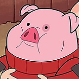鸡智小团长的头像