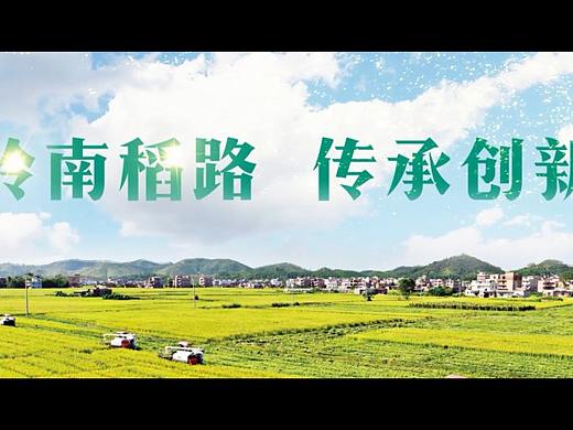 岭南稻路 传承创新