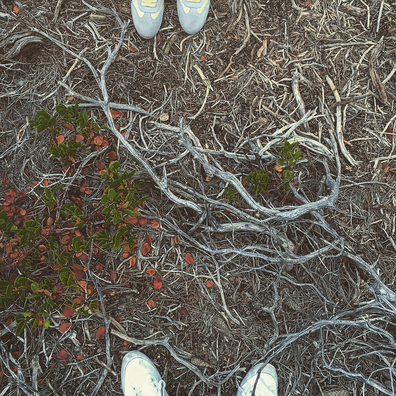 我的Iphone相册-美利坚拾景记(图ZNTAzMTA4NjQ=) - 风光摄影 - 站酷设计师北邦原创素材 - 站酷ZCOOL