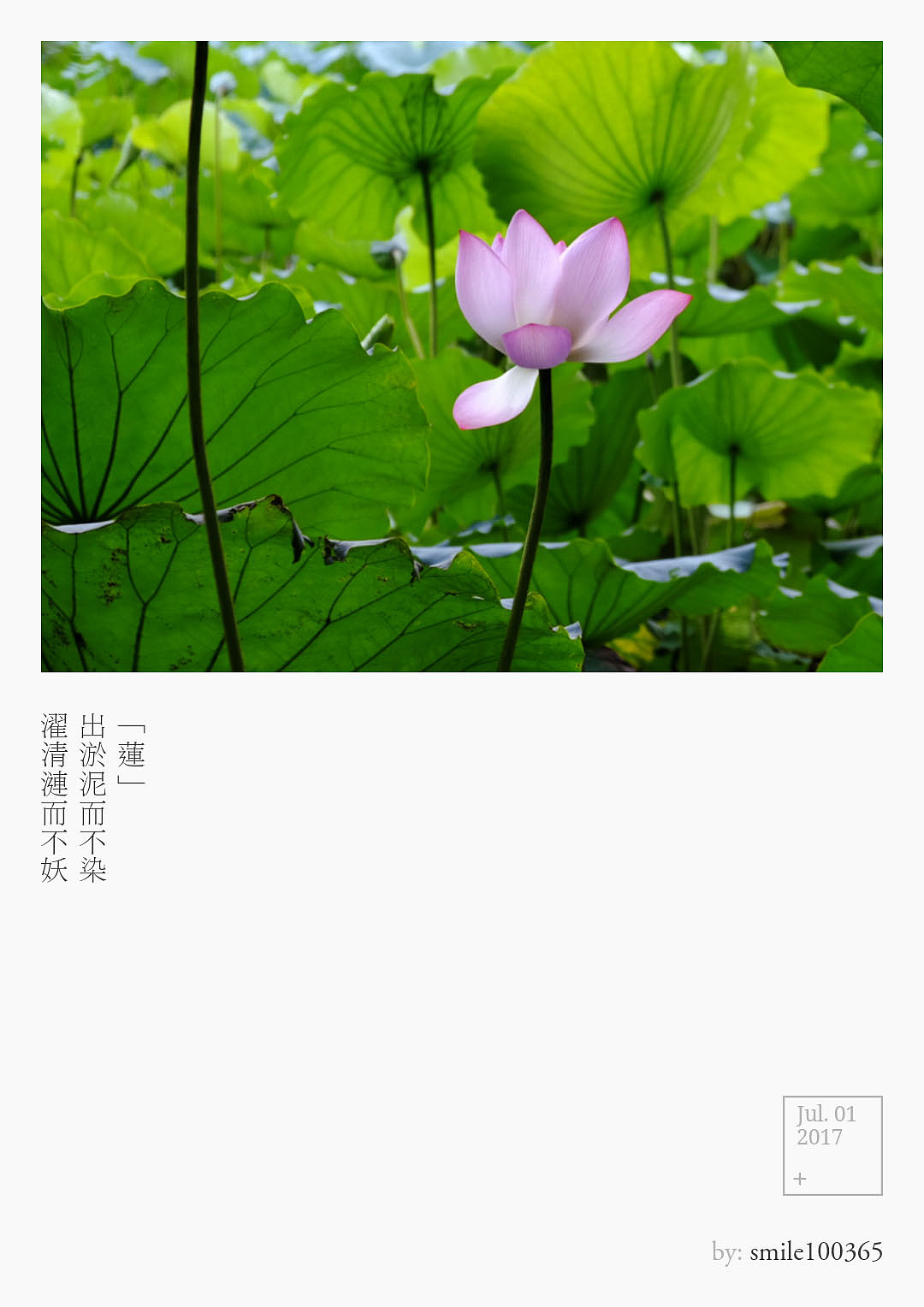 2017（图ZMTA0MDYxNzU2） - 其他 - 站酷设计师汤圈圈呀原创素材 - 站酷ZCOOL