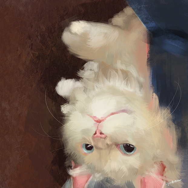 一些可爱的哈吉米