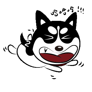 哈小齐斗图三组