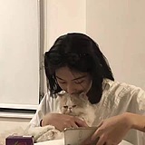 三柒呀的头像
