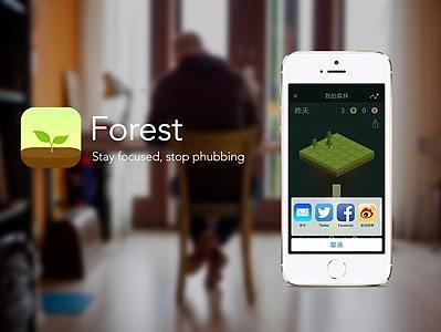 产品分析报告--Forest