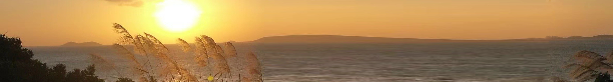 清歌zyj的个人主页（封面预览） - 主页封面设置 - 站酷设计师清歌zyj原创素材 - 站酷ZCOOL