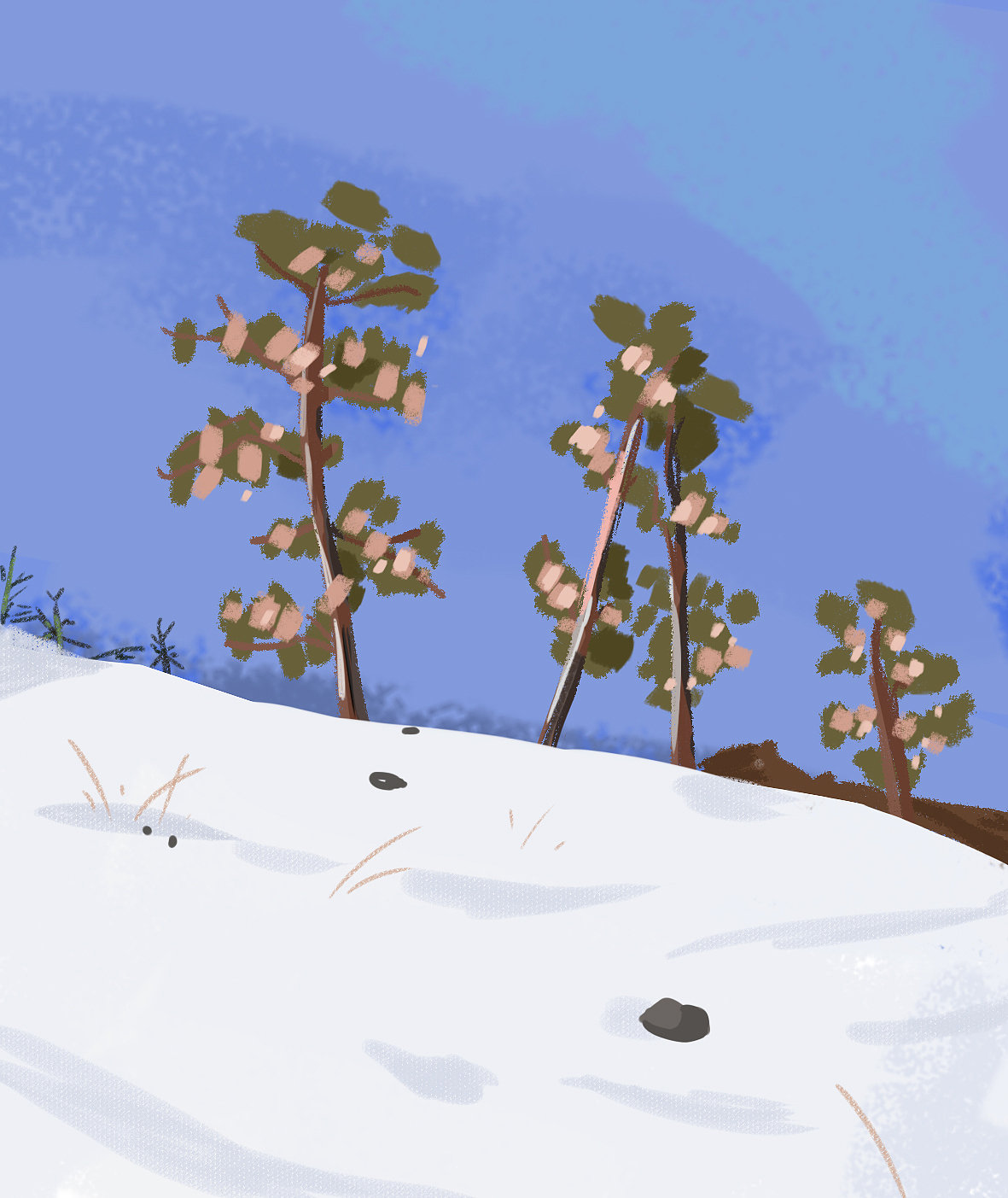 色彩60天打卡练习