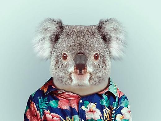 应个景，交作业