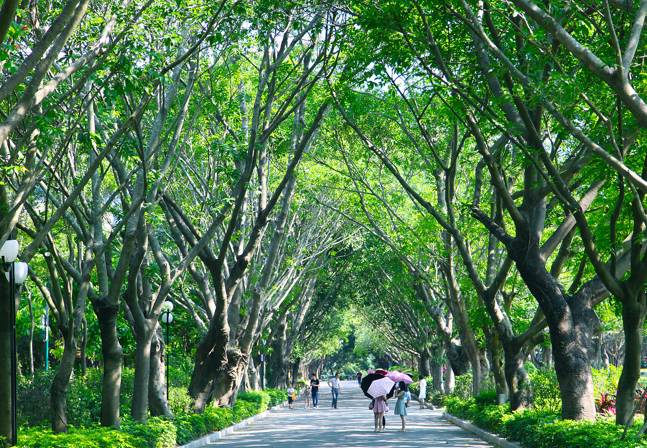 莲花山公园（图ZMTE2MTkzODYw） - 风光摄影 - 站酷设计师我的病好了原创素材 - 站酷ZCOOL