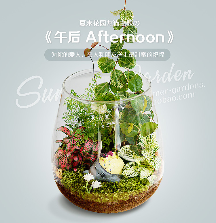 绿植手作--龙猫主题微景观午后--《夏末花园成长日记32》（图ZMzQ5MDc1MTI=） - 其他手工艺 - 站酷设计师zxsummer原创素材 - 站酷ZCOOL