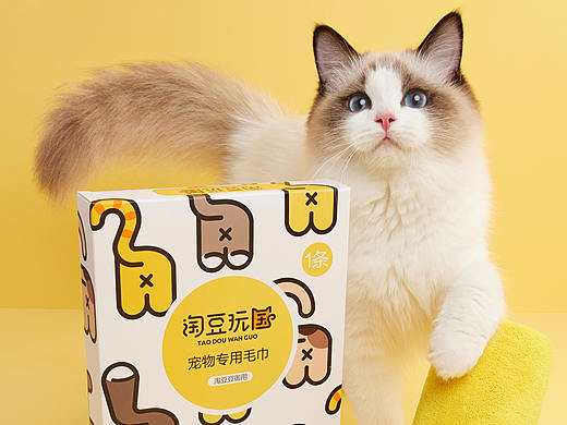 【摄影】超级霸气可可爱爱猫咪浴室场景——猫の毛巾
