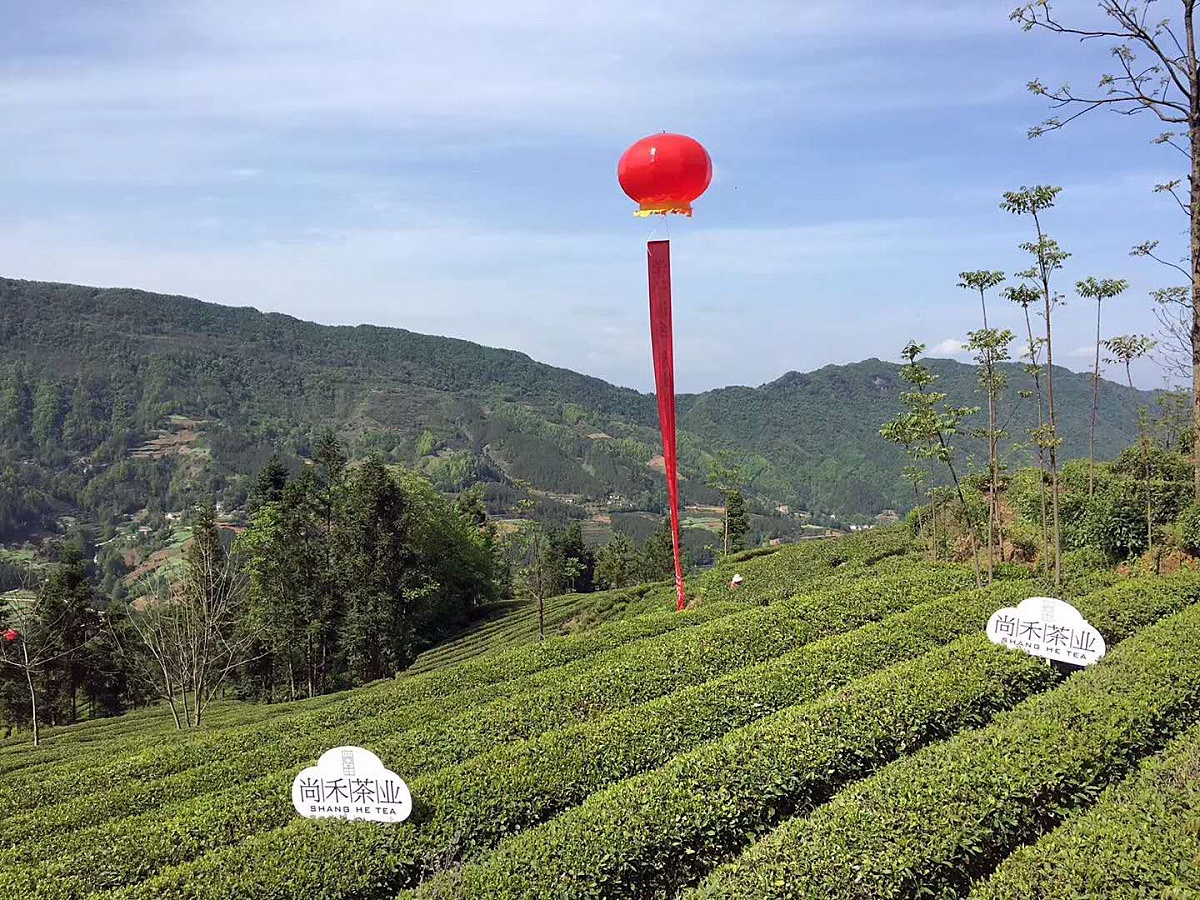 尚禾对于茶品质,口感的把控,是其最为擅长的领域,而厚启设计则需要为尚禾向消费者清晰的传达品类以及产品所映射的气质。为此急需要对整体品牌形象进行重建,力求在年轻消费群体中建立消费认知和品牌力。