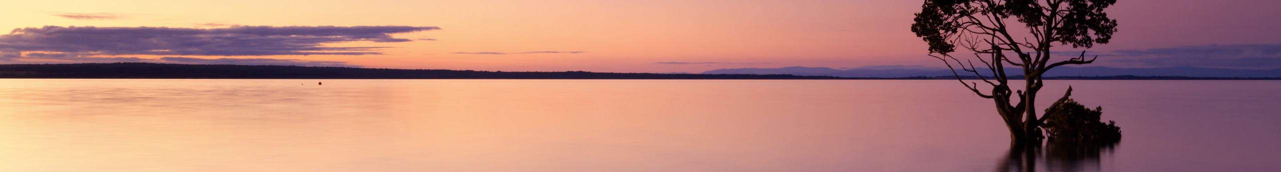 晨辰書的個(gè)人主頁（封面預(yù)覽） - 主頁封面設(shè)置 - 站酷設(shè)計(jì)師晨辰書原創(chuàng)素材 - 站酷ZCOOL
