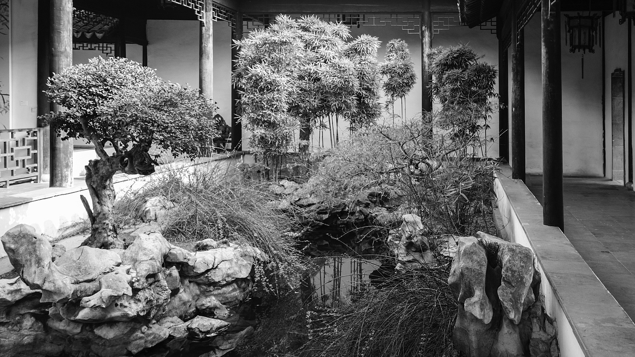 2016年初，苏州博物馆抓拍（图ZNDEyODE4NDg=） - 人文/纪实摄影 - 站酷设计师抬头看天看到云原创素材 - 站酷ZCOOL