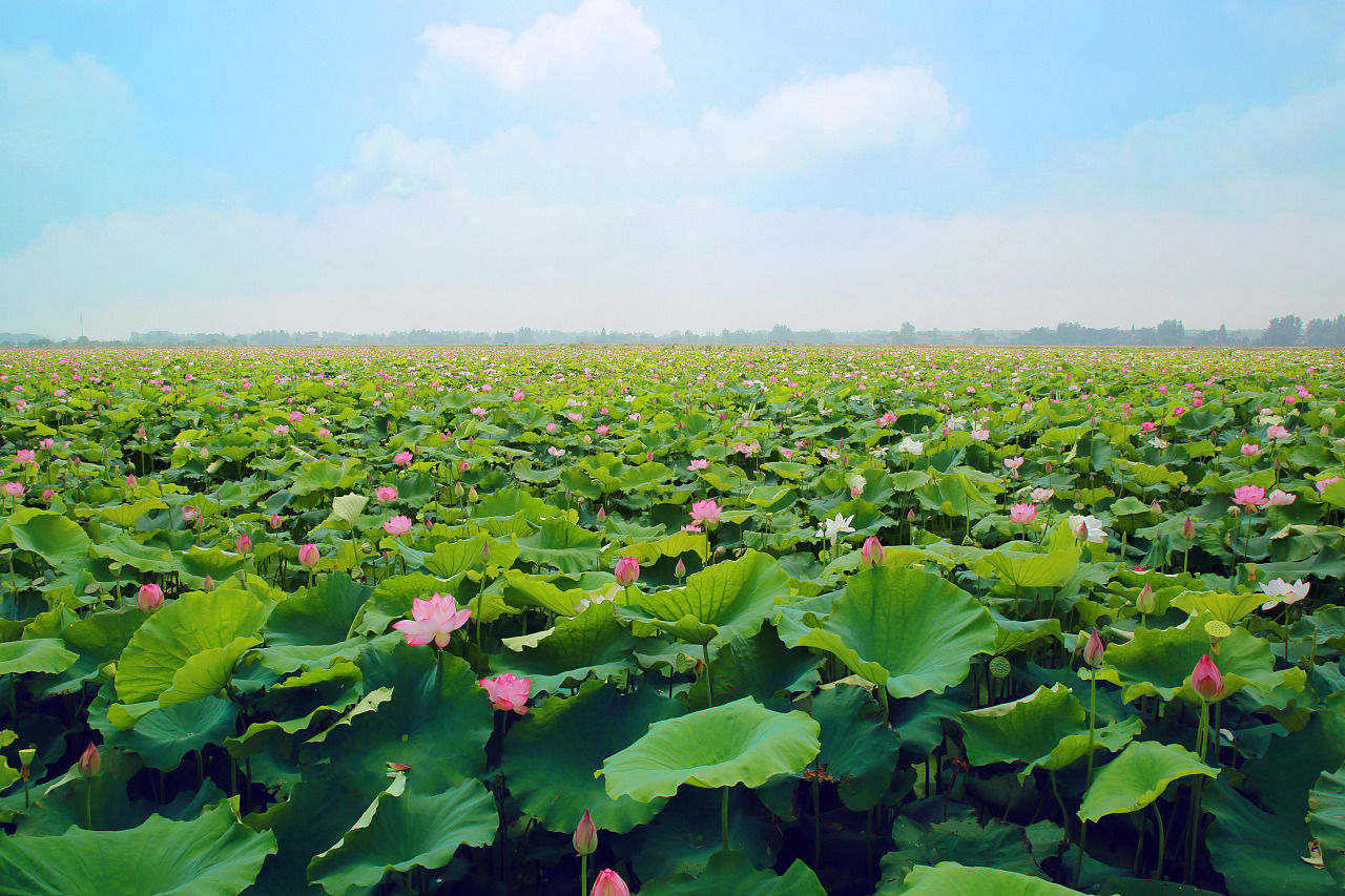 花花世界1986的个人主页（封面预览） - 主页封面设置 - 站酷设计师花花世界1986原创素材 - 站酷ZCOOL