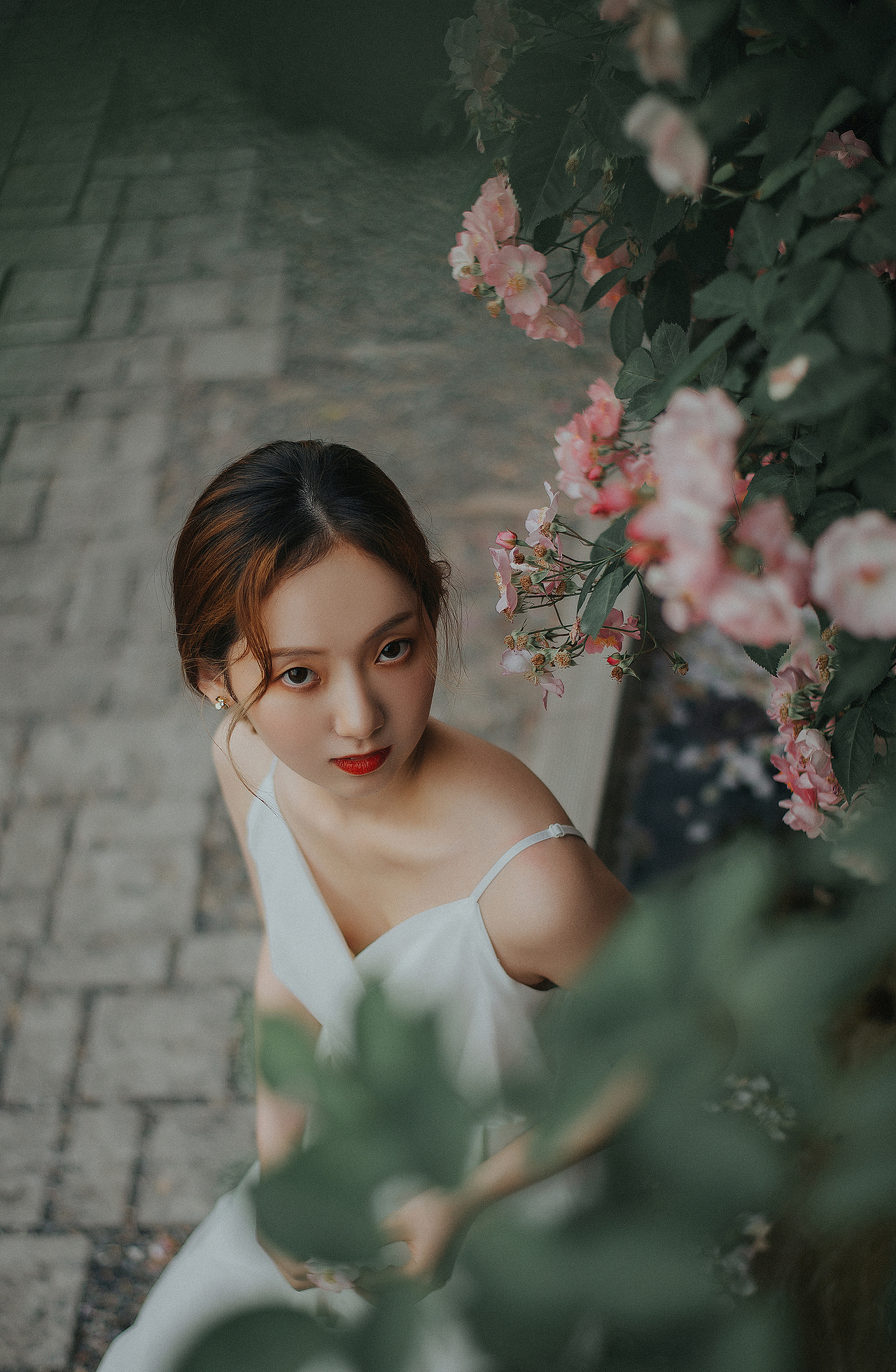 蔷薇（图ZMjU0Njc2NzY0） - 人像摄影 - 站酷设计师阿末photo原创素材 - 站酷ZCOOL