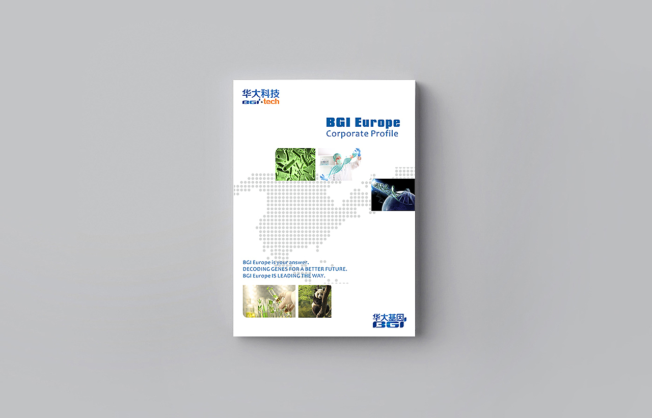 画册,英文画册,Product catalog,brochure