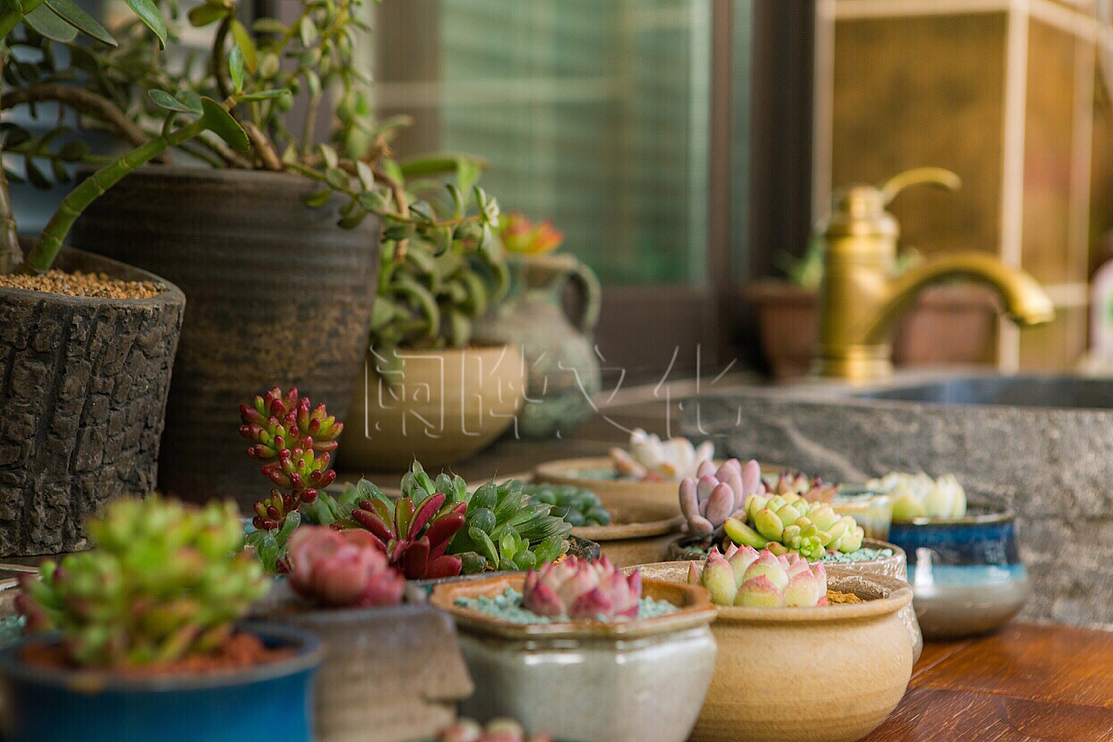 专业室内空间摄影-混搭风格-阑晔文化商业摄影（图ZMTc3MzI1MTI4） - 环境/建筑摄影 - 站酷设计师阑晔建筑空间摄影原创素材 - 站酷ZCOOL