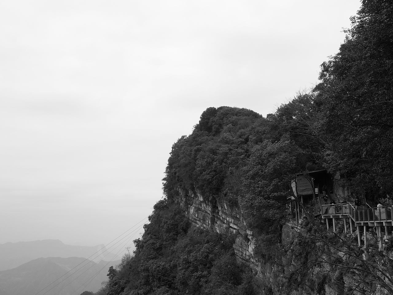 从山里来,回山里去