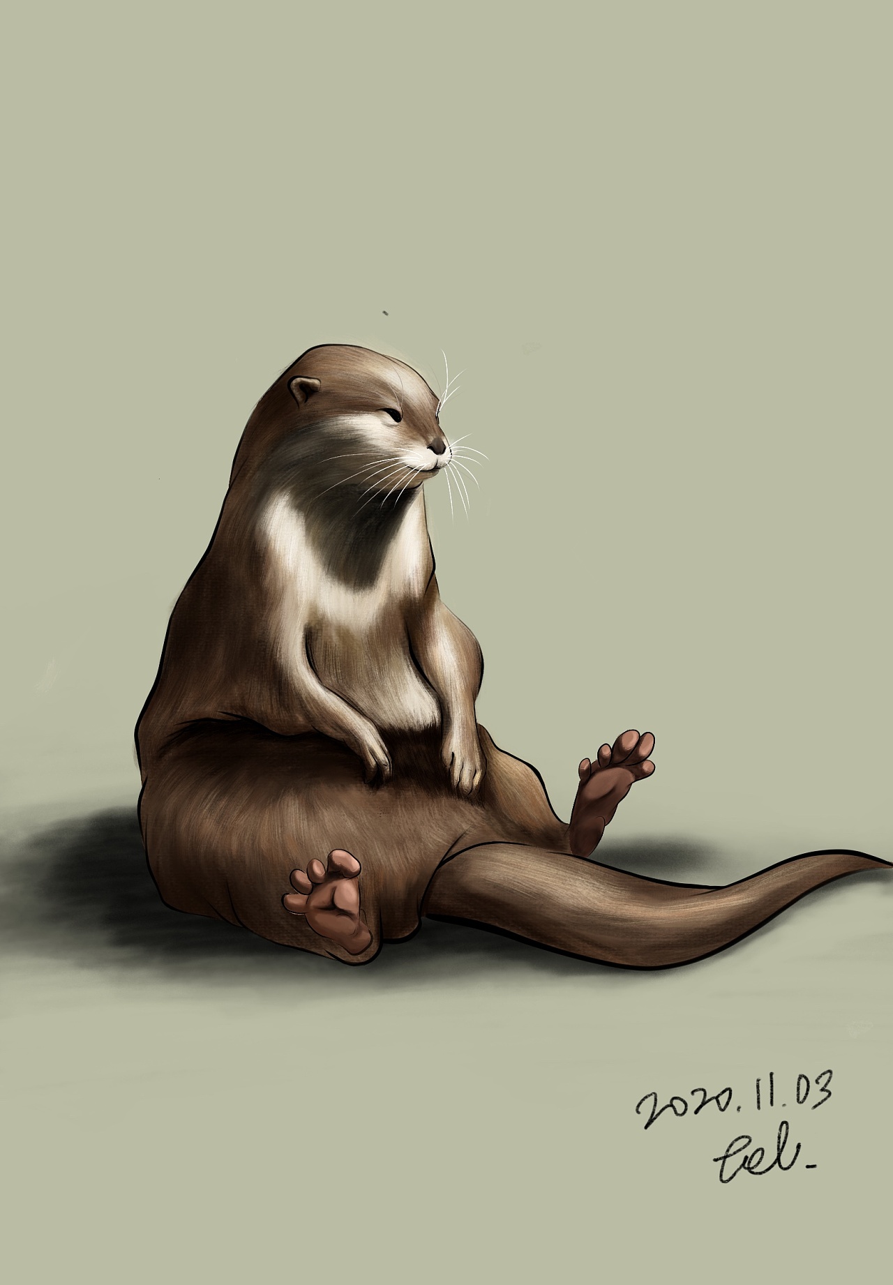 307天前 28 1 0 杭州  |  平面设计师 手绘练习-水獭 ipad的第一张