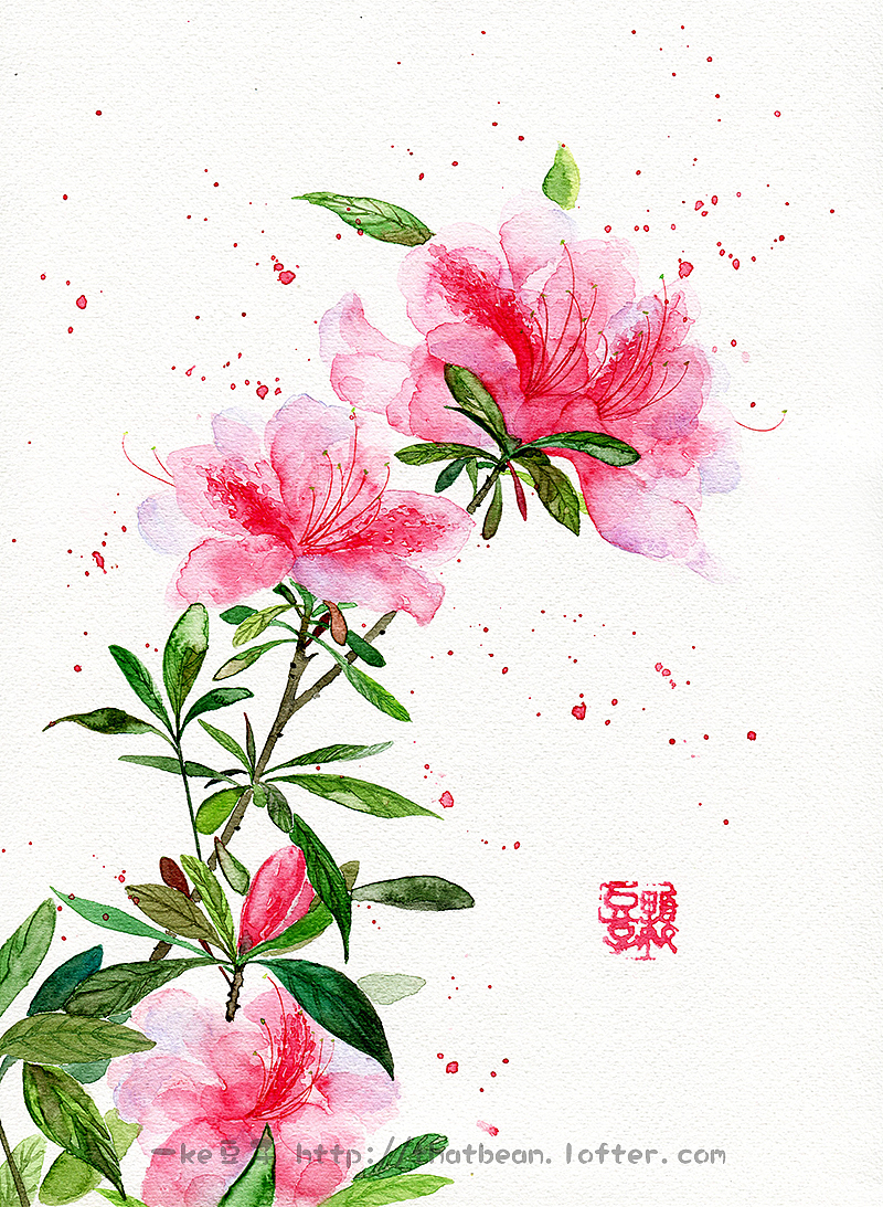 水彩插画－花卉系列（图ZMTg3Mzg1OTI=） - 商业插画 - 站酷设计师Jessie一颗豆子原创素材 - 站酷ZCOOL