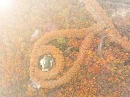 大地項(xiàng)鏈——美齡宮