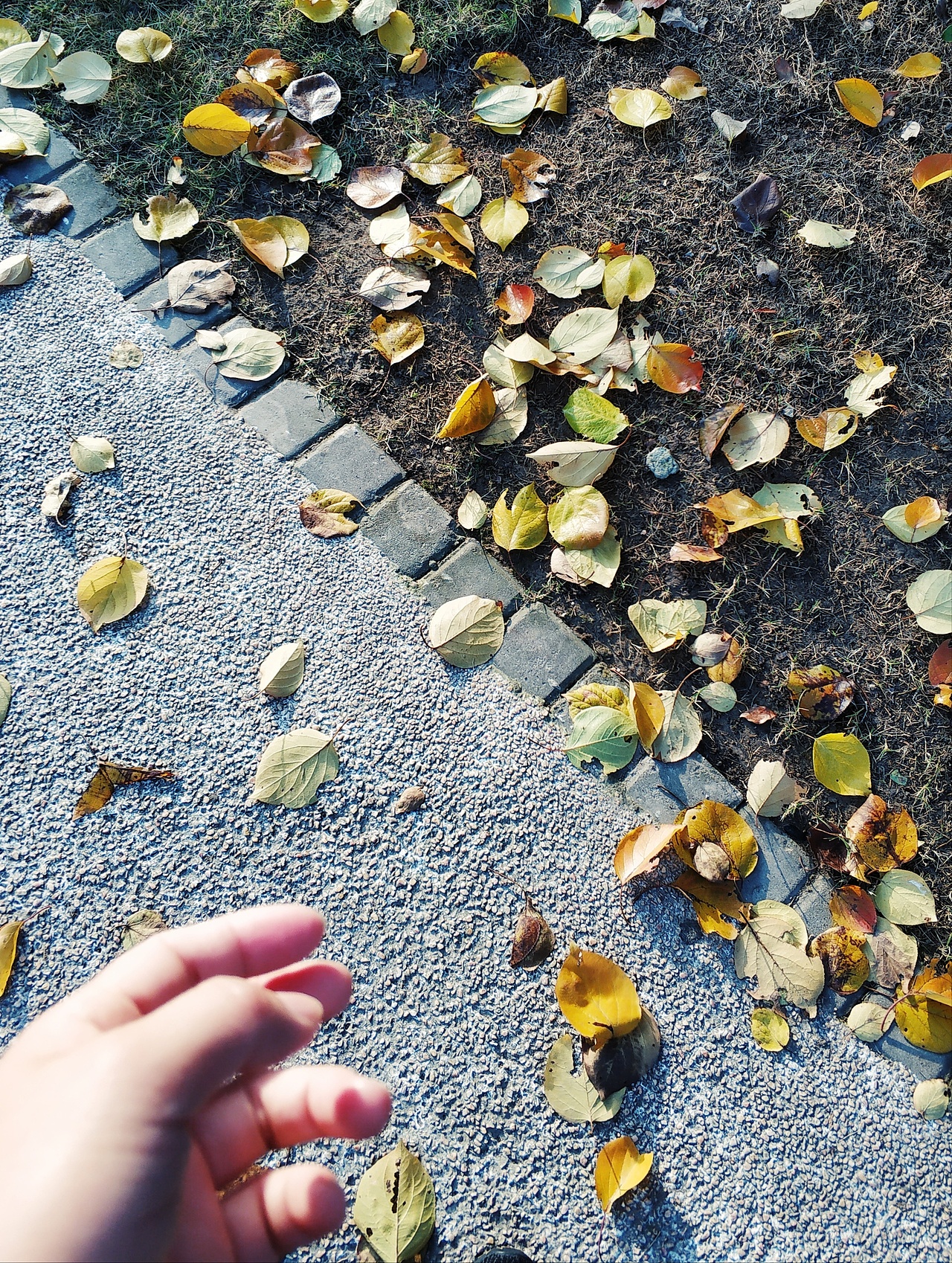 初冬的上海（图ZMTM3MTA4MjY0） - 人文/纪实摄影 - 站酷设计师仙人掌sxw原创素材 - 站酷ZCOOL