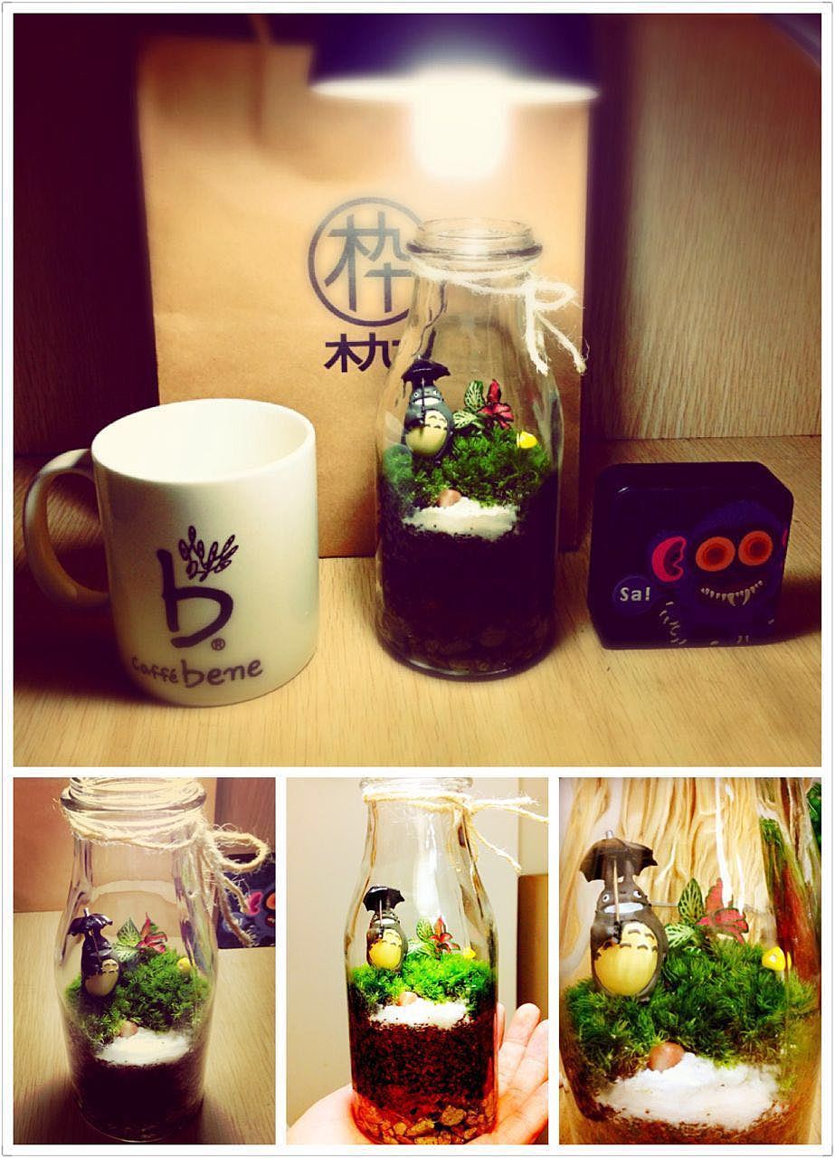 亲手做的一组苔藓瓶（图ZODAzMDM0MjQ=） - 其他手工艺 - 站酷设计师251447645原创素材 - 站酷ZCOOL