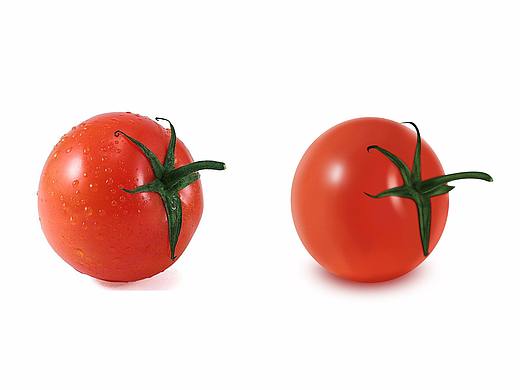 西紅柿（個人主頁-ZMjk1OTUxMjg=） - 繪本 - 站酷設(shè)計師haohaha原創(chuàng)素材 - 站酷ZCOOL